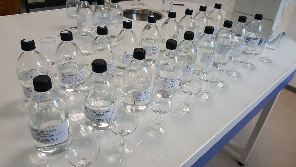 Read more about the article 干邑原酒的香氣特色